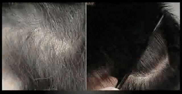 1763358243920428.gif 545ef213-cfb3-481f-a9d1-64be3d038e69.gif