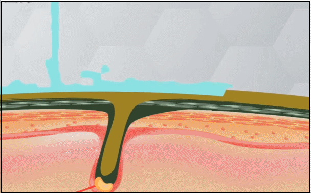 1763358256325865.gif b41d58e0-5782-4830-9369-977c37304280.gif